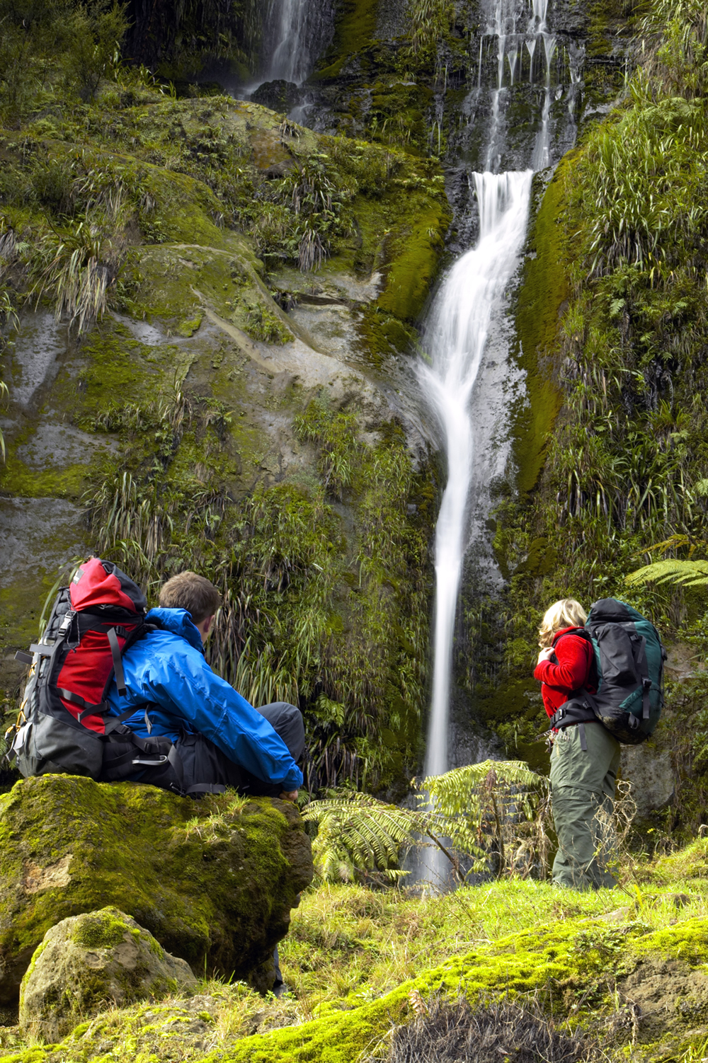 Trekking_Waterfall_Whanganui_National_Park